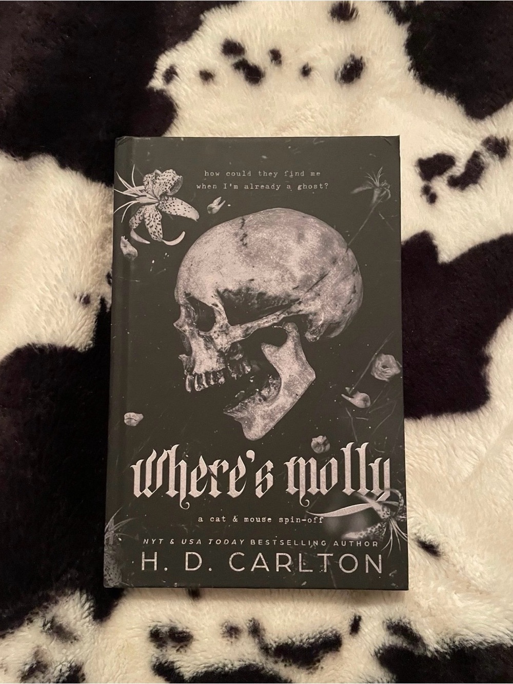 Where's Molly by H. D. Carlton Hardback Book NWOT